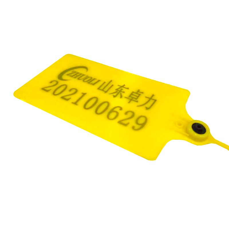 Флаг Пластиковая печать Флаг Пластиковая печать