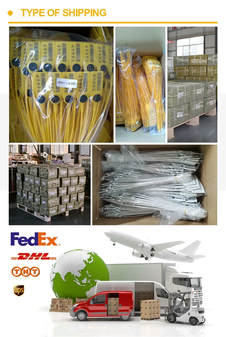 Доставка и транспорт Shipping&Transportation