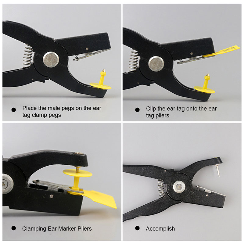 Ушные бирки для животных Ушные бирки для животных